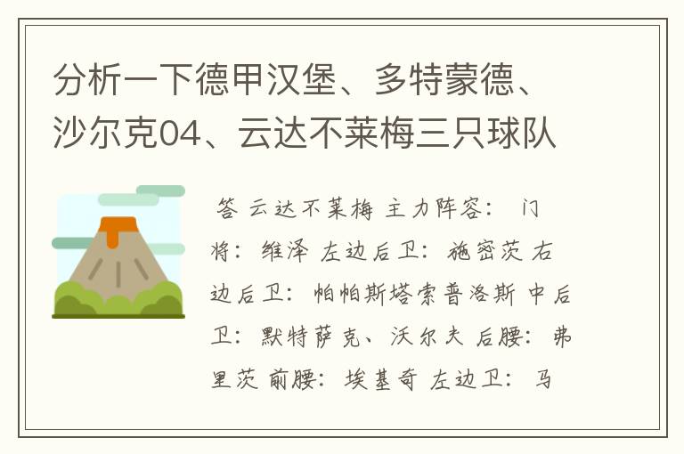 分析一下德甲汉堡、多特蒙德、沙尔克04、云达不莱梅三只球队的人员打法和阵型