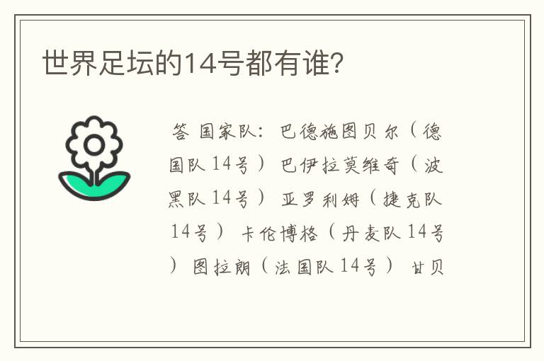 世界足坛的14号都有谁？