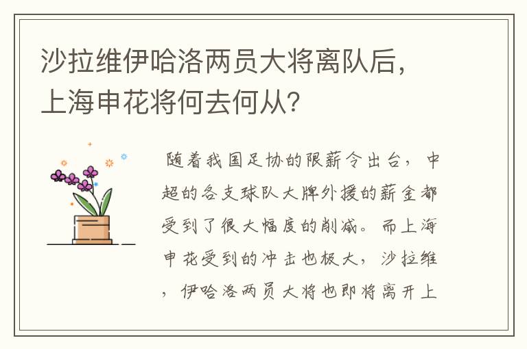 沙拉维伊哈洛两员大将离队后，上海申花将何去何从？