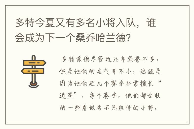 多特今夏又有多名小将入队，谁会成为下一个桑乔哈兰德？