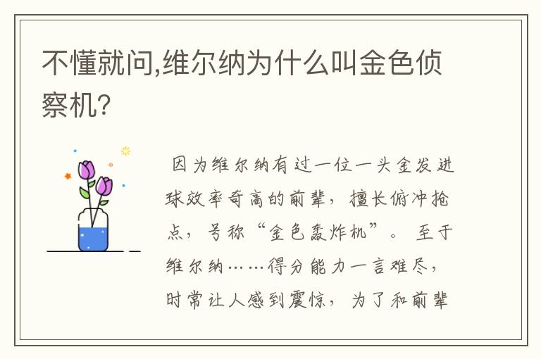 不懂就问,维尔纳为什么叫金色侦察机？