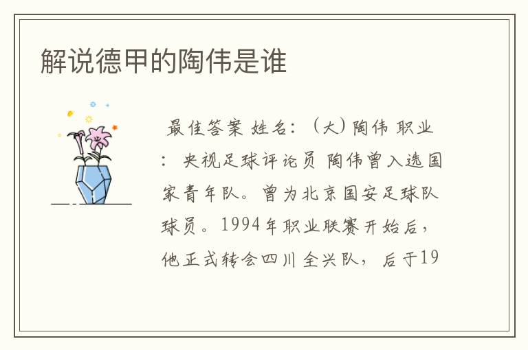 解说德甲的陶伟是谁