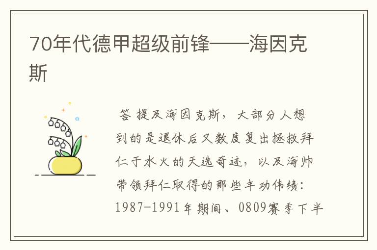 70年代德甲超级前锋——海因克斯