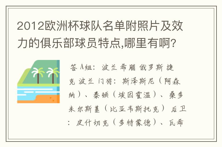 2012欧洲杯球队名单附照片及效力的俱乐部球员特点,哪里有啊?急、急、急