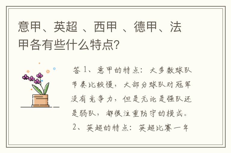 意甲、英超 、西甲 、德甲、法甲各有些什么特点？