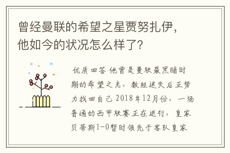 曾经曼联的希望之星贾努扎伊，他如今的状况怎么样了？