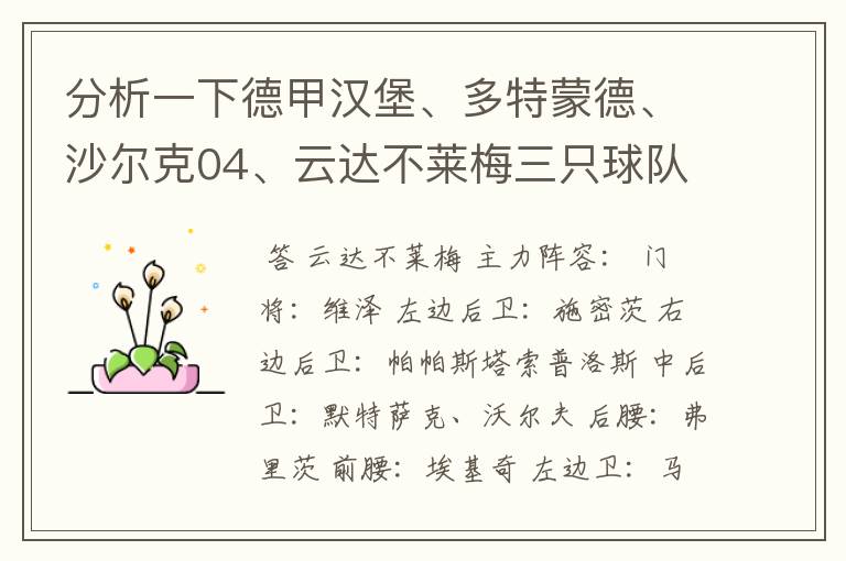 分析一下德甲汉堡、多特蒙德、沙尔克04、云达不莱梅三只球队的人员打法和阵型