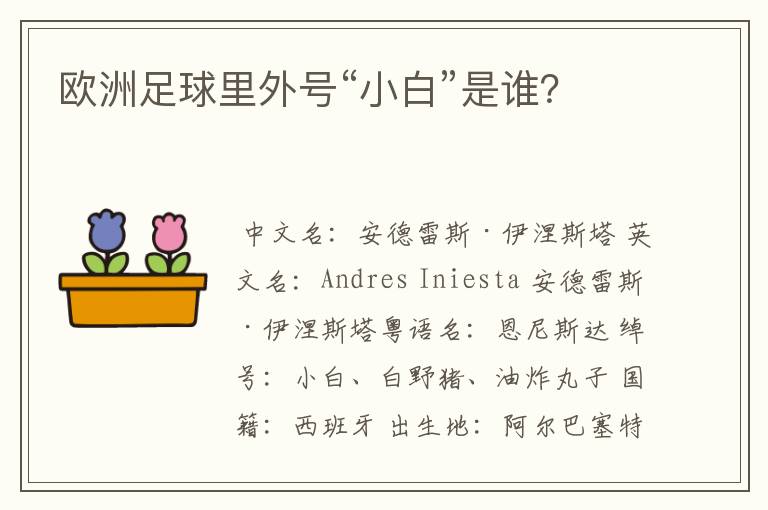 欧洲足球里外号“小白”是谁？