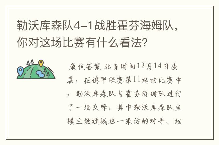 勒沃库森队4-1战胜霍芬海姆队，你对这场比赛有什么看法？