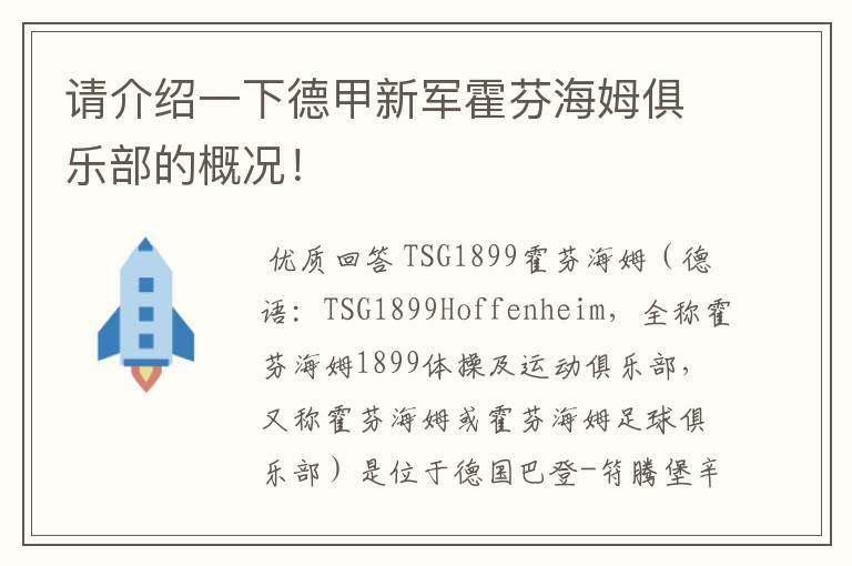 请介绍一下德甲新军霍芬海姆俱乐部的概况！