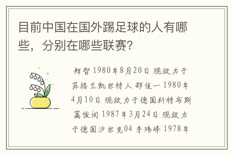 目前中国在国外踢足球的人有哪些，分别在哪些联赛？