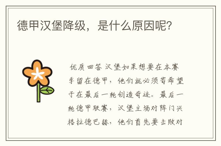 德甲汉堡降级，是什么原因呢？