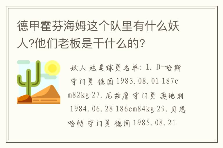 德甲霍芬海姆这个队里有什么妖人?他们老板是干什么的?