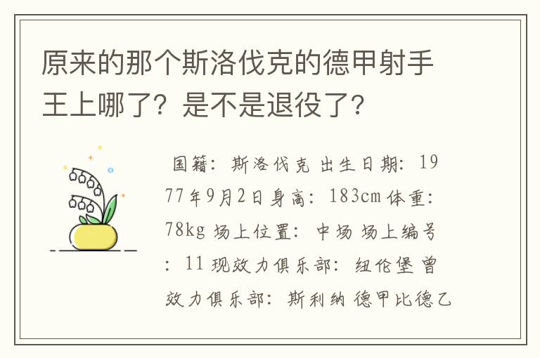 原来的那个斯洛伐克的德甲射手王上哪了？是不是退役了?