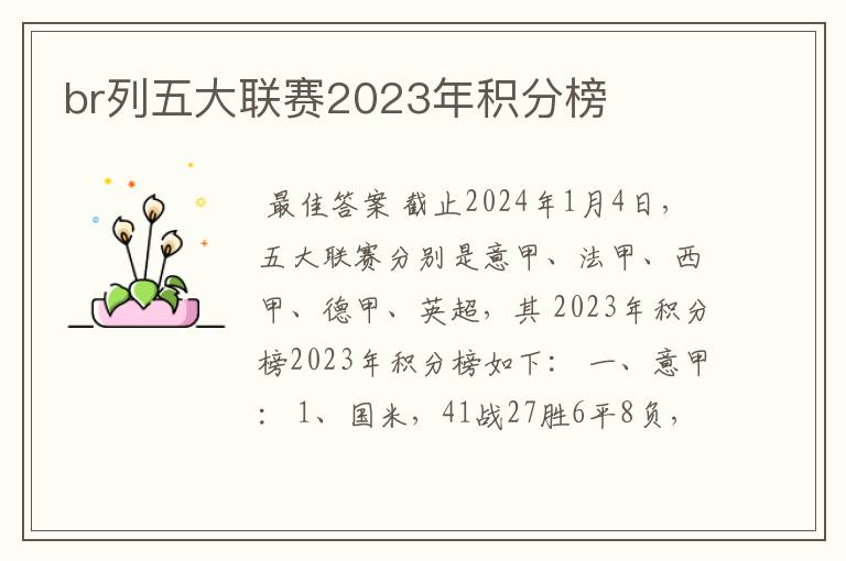 br列五大联赛2023年积分榜