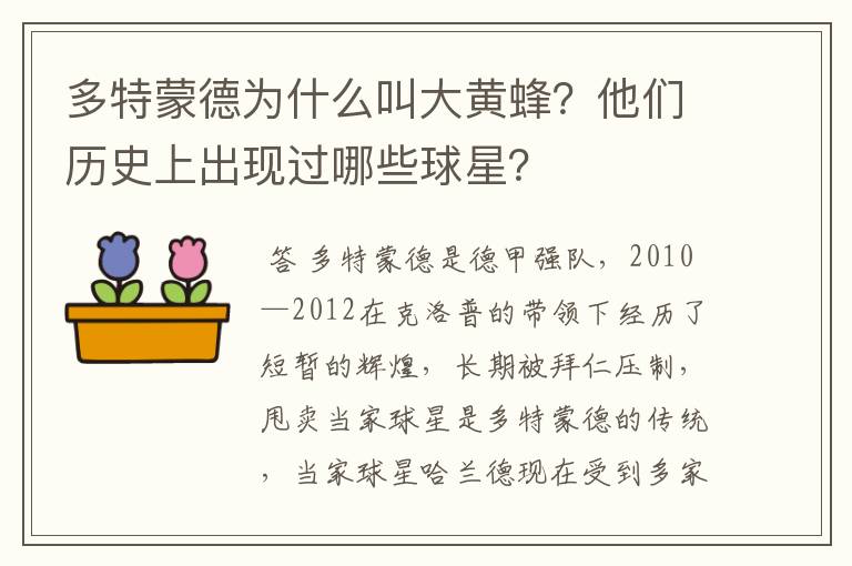 多特蒙德为什么叫大黄蜂？他们历史上出现过哪些球星？