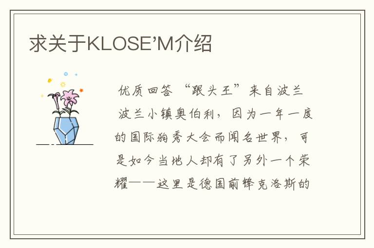 求关于KLOSE'M介绍