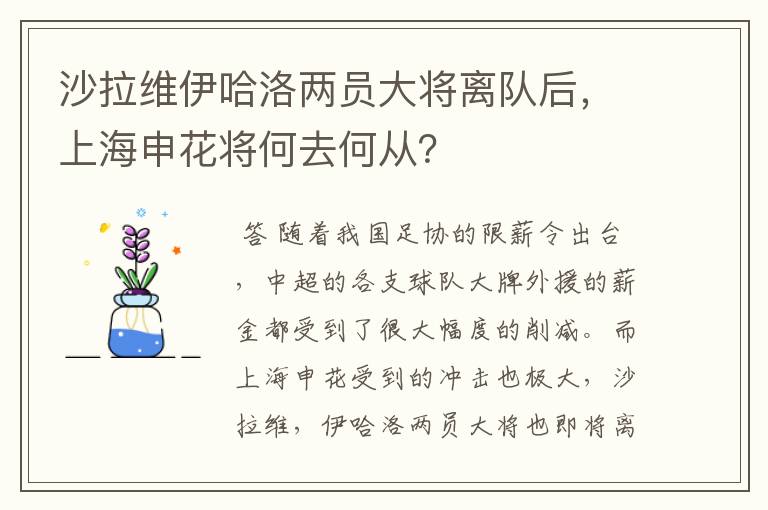 沙拉维伊哈洛两员大将离队后，上海申花将何去何从？