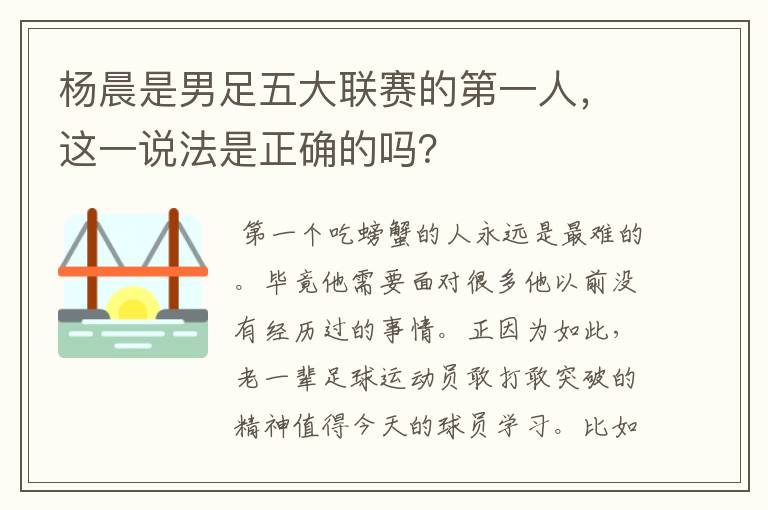 杨晨是男足五大联赛的第一人，这一说法是正确的吗？