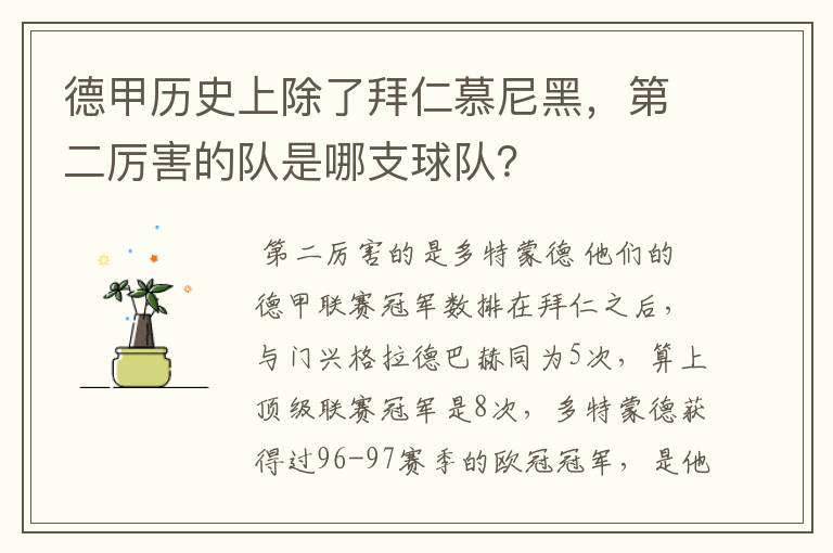 德甲历史上除了拜仁慕尼黑，第二厉害的队是哪支球队？