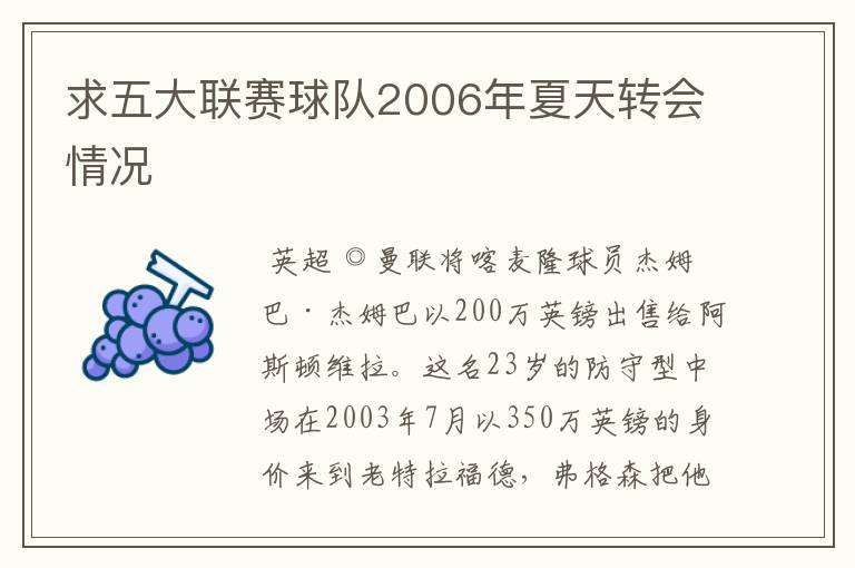 求五大联赛球队2006年夏天转会情况