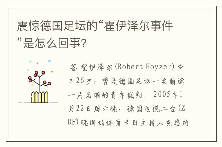 震惊德国足坛的“霍伊泽尔事件”是怎么回事?