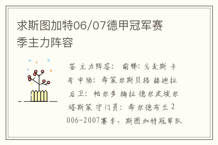 求斯图加特06/07德甲冠军赛季主力阵容