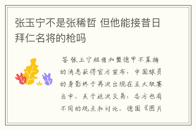 张玉宁不是张稀哲 但他能接昔日拜仁名将的枪吗