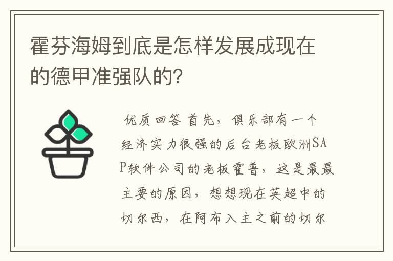 霍芬海姆到底是怎样发展成现在的德甲准强队的？