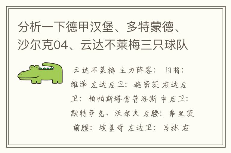 分析一下德甲汉堡、多特蒙德、沙尔克04、云达不莱梅三只球队的人员打法和阵型