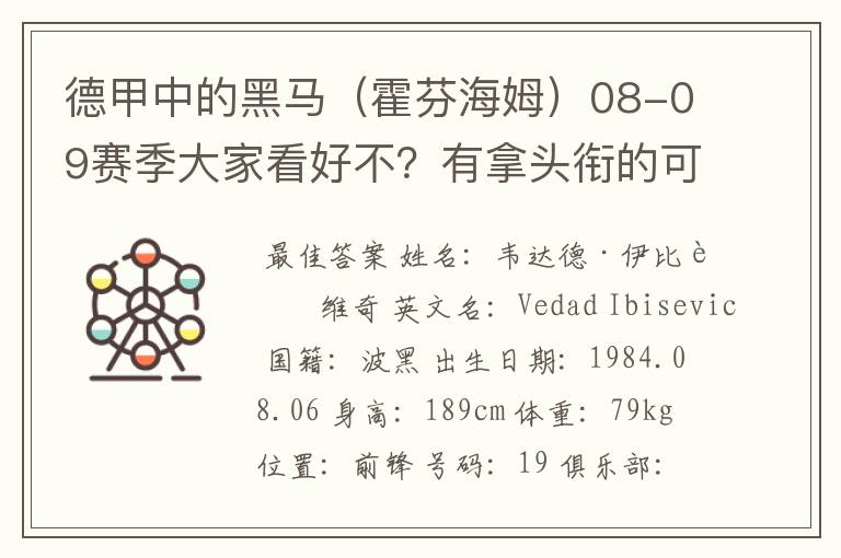 德甲中的黑马（霍芬海姆）08-09赛季大家看好不？有拿头衔的可能吗？