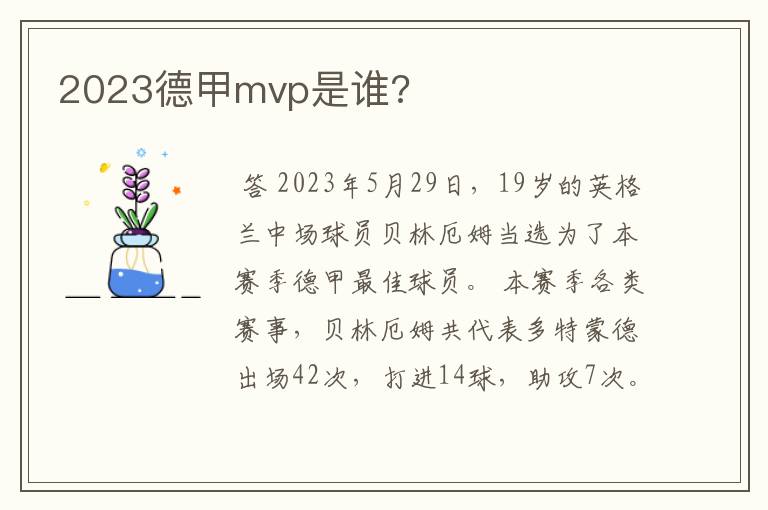 2023德甲mvp是谁?