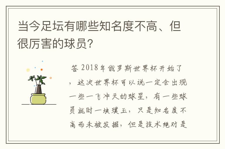 当今足坛有哪些知名度不高、但很厉害的球员？