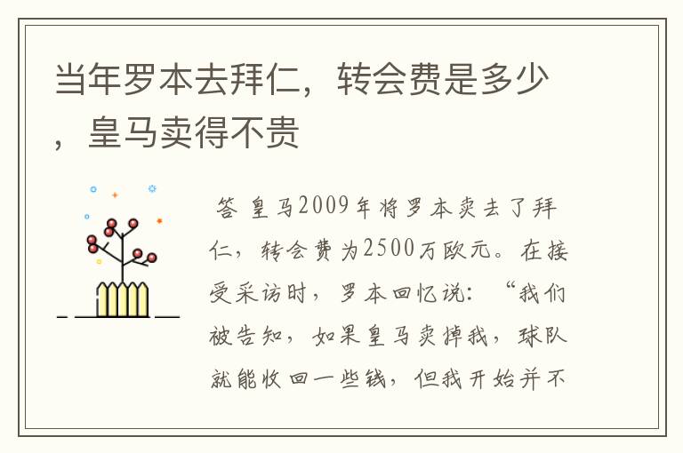 当年罗本去拜仁，转会费是多少，皇马卖得不贵