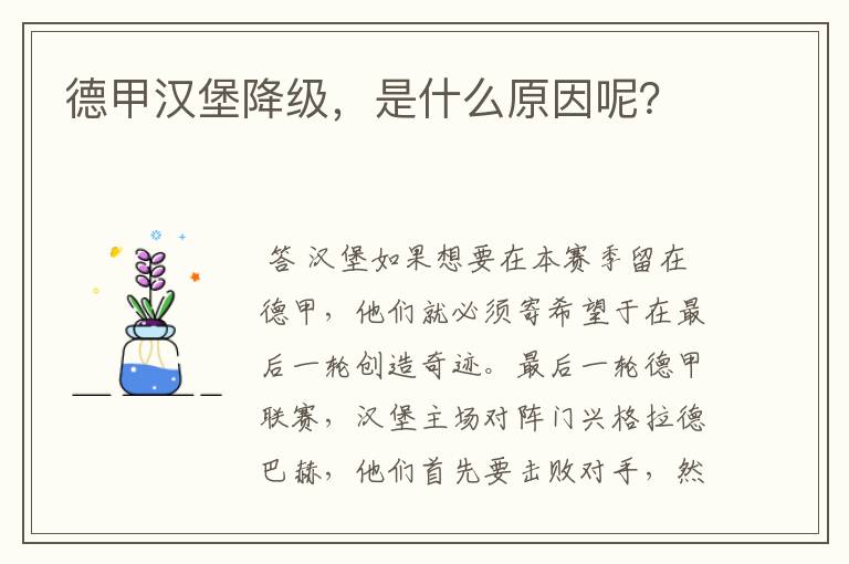 德甲汉堡降级，是什么原因呢？