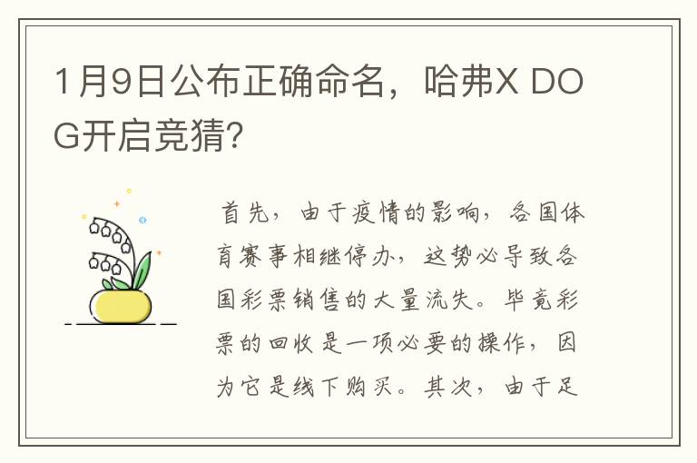 1月9日公布正确命名，哈弗X DOG开启竞猜？