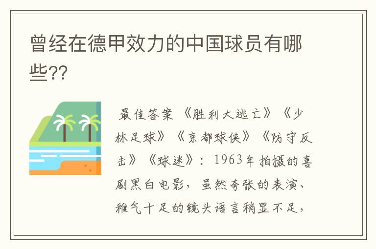 曾经在德甲效力的中国球员有哪些?？