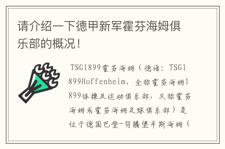 请介绍一下德甲新军霍芬海姆俱乐部的概况！