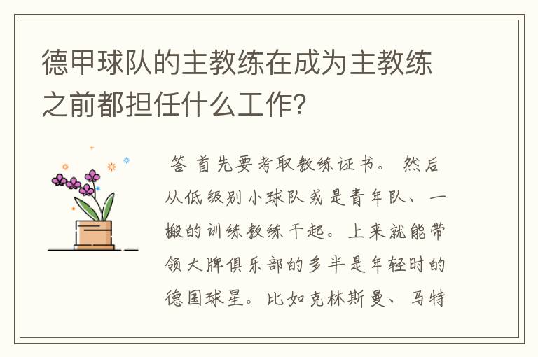 德甲球队的主教练在成为主教练之前都担任什么工作？