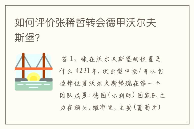 如何评价张稀哲转会德甲沃尔夫斯堡？