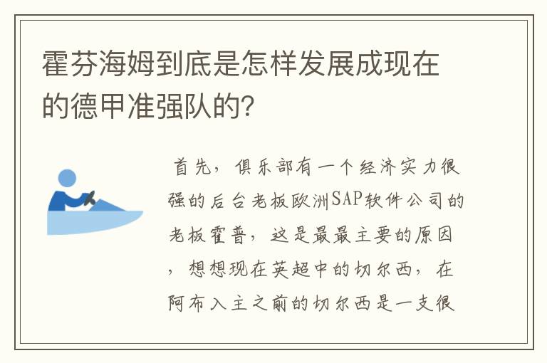 霍芬海姆到底是怎样发展成现在的德甲准强队的？