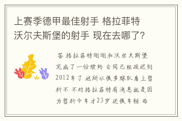 上赛季德甲最佳射手 格拉菲特 沃尔夫斯堡的射手 现在去哪了？