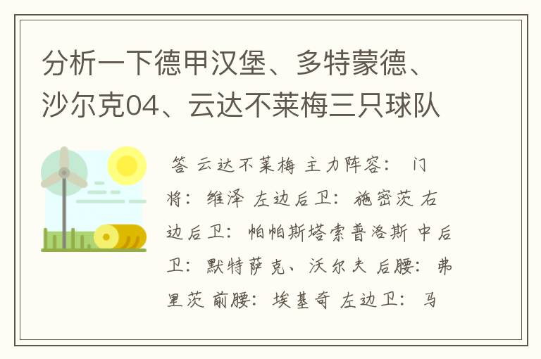 分析一下德甲汉堡、多特蒙德、沙尔克04、云达不莱梅三只球队的人员打法和阵型