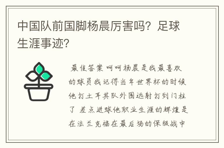 中国队前国脚杨晨厉害吗？足球生涯事迹？