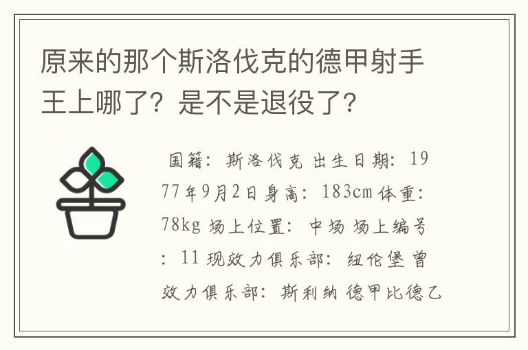 原来的那个斯洛伐克的德甲射手王上哪了？是不是退役了?