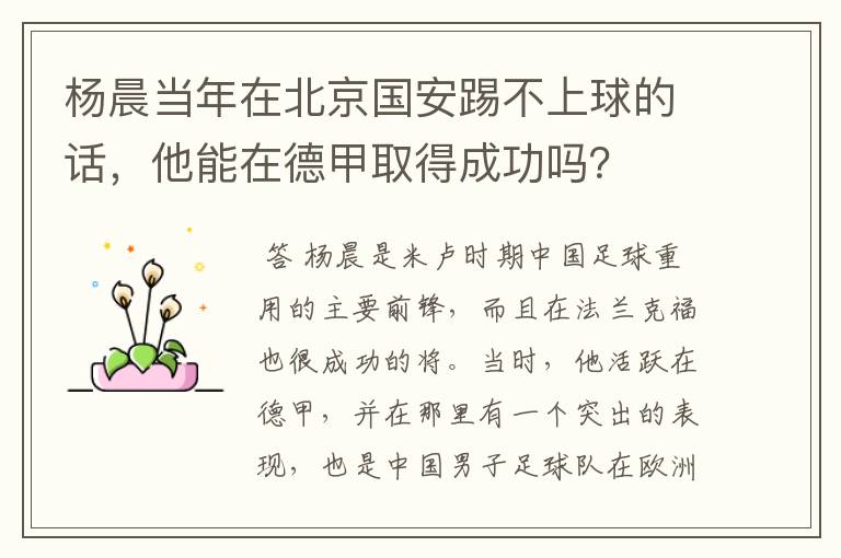 杨晨当年在北京国安踢不上球的话，他能在德甲取得成功吗？