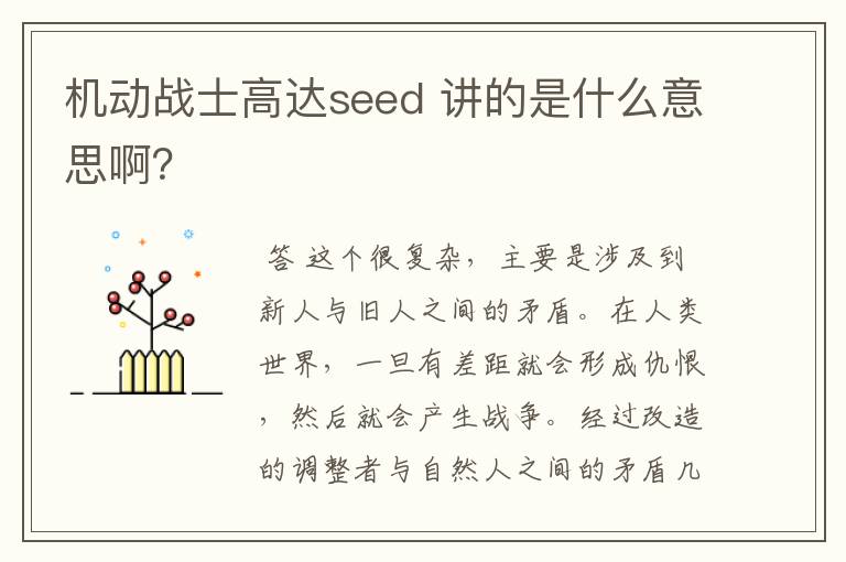 机动战士高达seed 讲的是什么意思啊？