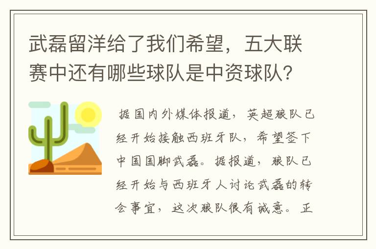 武磊留洋给了我们希望，五大联赛中还有哪些球队是中资球队？