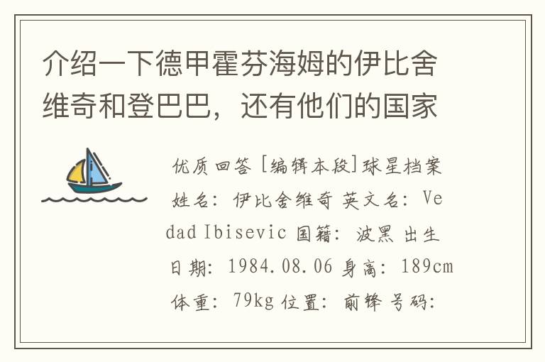 介绍一下德甲霍芬海姆的伊比舍维奇和登巴巴，还有他们的国家队履历