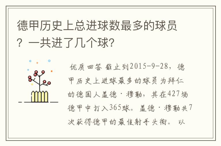 德甲历史上总进球数最多的球员？一共进了几个球？